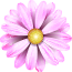 hero flower small 2